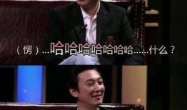 王思聪娱乐圈爆料,揭秘明星背后的真实故事